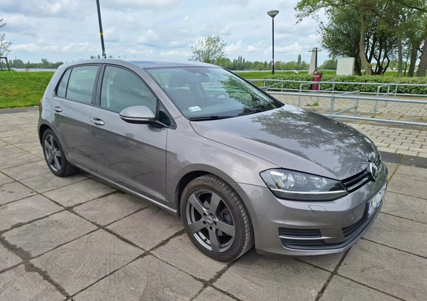 Volkswagen Golf cena 48500 przebieg: 127000, rok produkcji 2015 z Rzeszów małe 172